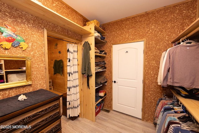 spacious closet featuring wood-type flooring