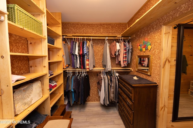 spacious closet with hardwood / wood-style flooring