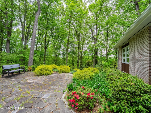 view of yard featuring a patio