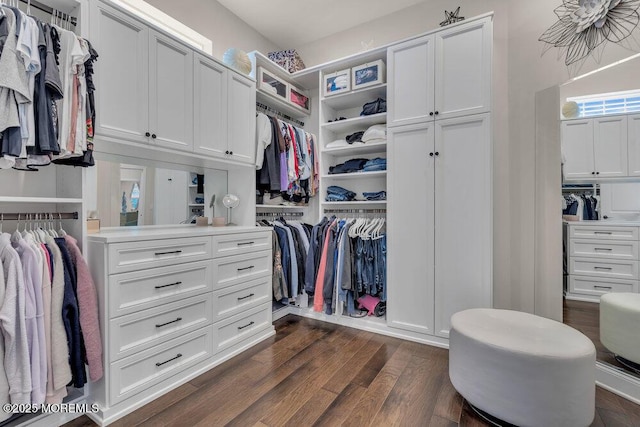 spacious closet featuring dark wood-style floors