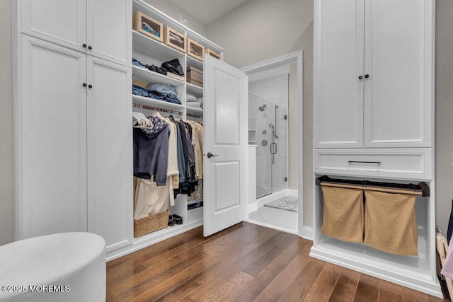 spacious closet featuring dark wood-type flooring