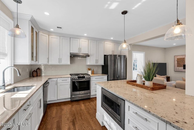 kitchen with under cabinet range hood, stainless steel appliances, dark wood-type flooring, a sink, and glass insert cabinets