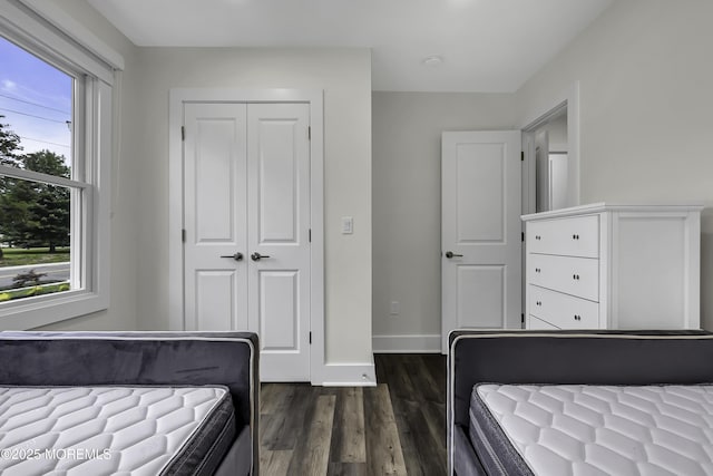 bedroom featuring multiple windows, dark wood-type flooring, and a closet