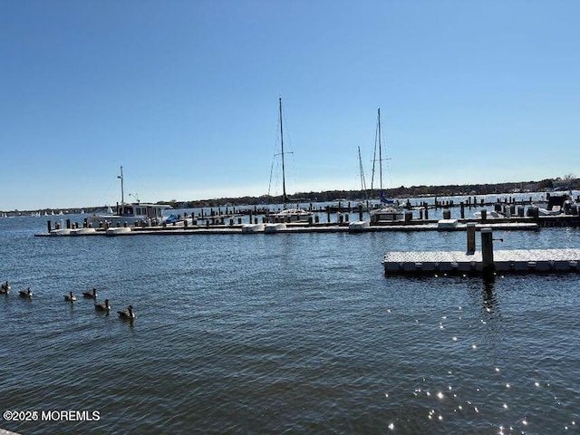 view of dock featuring a water view