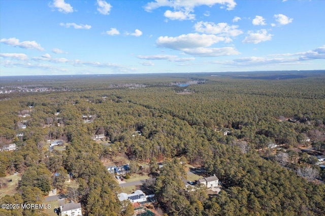 birds eye view of property with a forest view