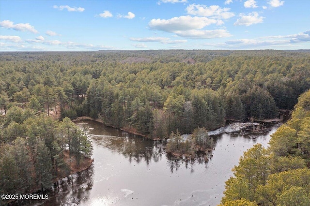 bird's eye view featuring a water view and a forest view