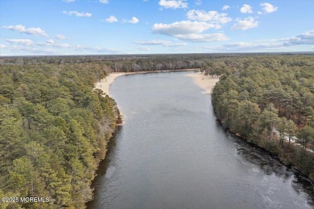 bird's eye view with a water view and a forest view