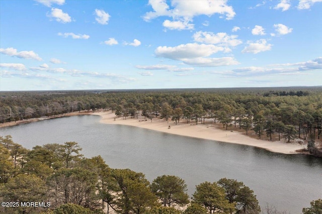 drone / aerial view featuring a water view and a view of trees