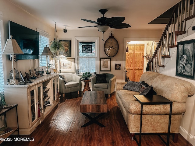 living room with ceiling fan and dark hardwood / wood-style flooring