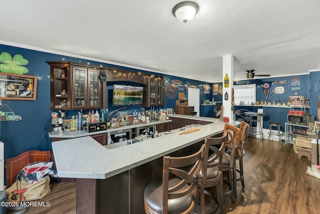 bar featuring ceiling fan, dark brown cabinets, and dark hardwood / wood-style flooring