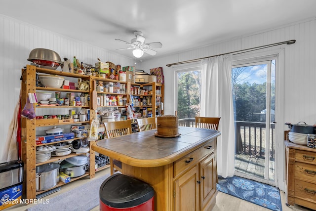 interior space with light wood-style flooring and ceiling fan