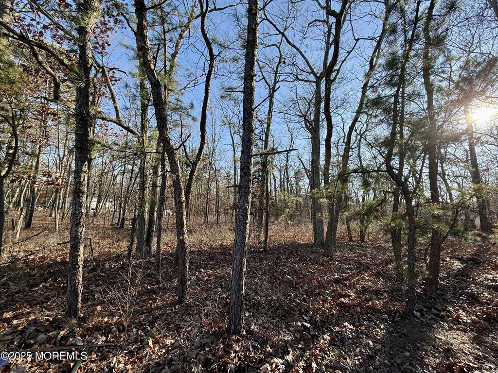 0 Lakehurst Ave, Jackson, NJ 08527