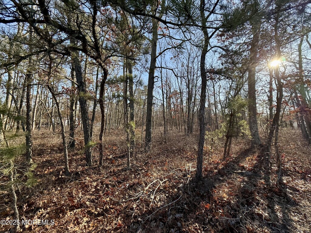 0 Lakehurst Ave, Jackson, NJ 08527