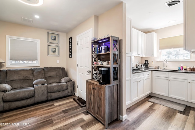 living room with sink and dark hardwood / wood-style floors