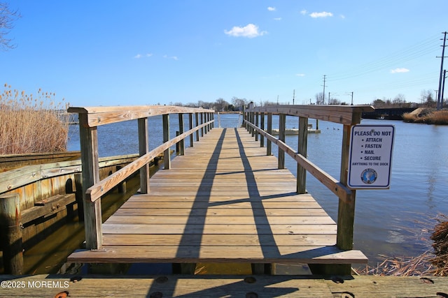 dock area with a water view