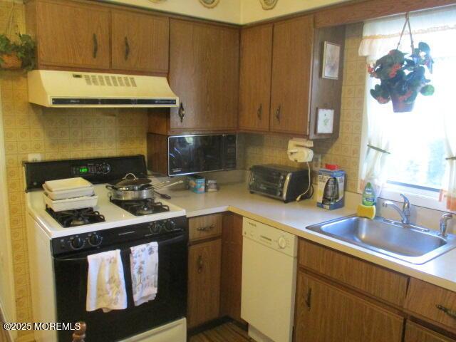 kitchen with tasteful backsplash, range with gas stovetop, dishwasher, range hood, and sink