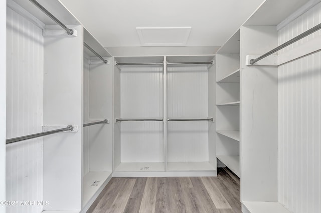 spacious closet with light hardwood / wood-style flooring