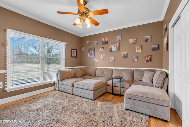 living area featuring baseboards, light wood-type flooring, a ceiling fan, and crown molding