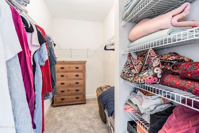 spacious closet with light colored carpet