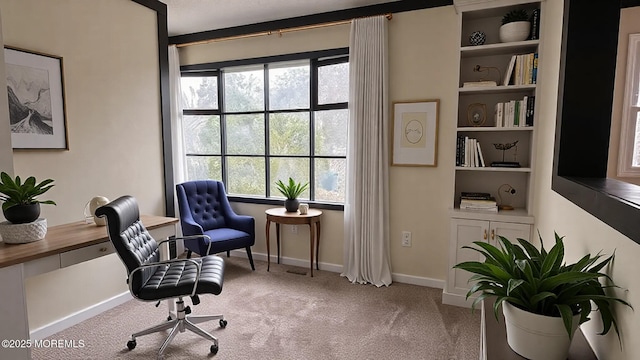 living area featuring baseboards, plenty of natural light, and carpet flooring