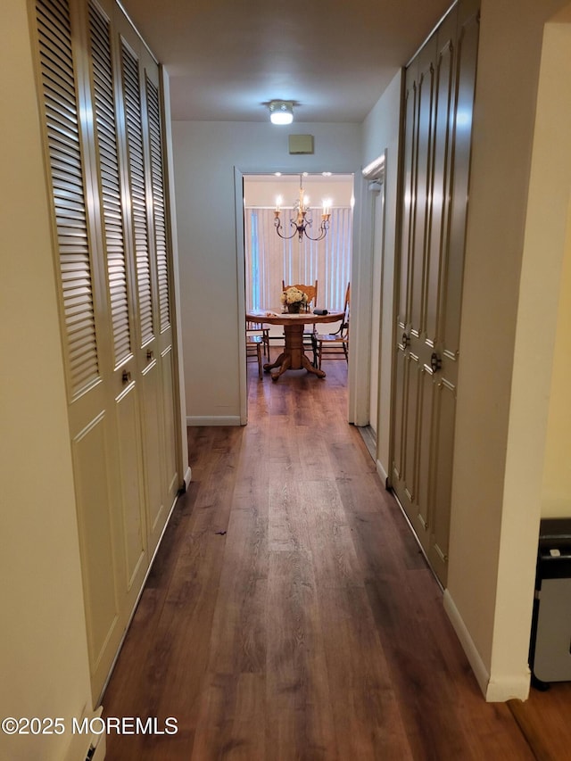 hall featuring a chandelier and dark hardwood / wood-style flooring