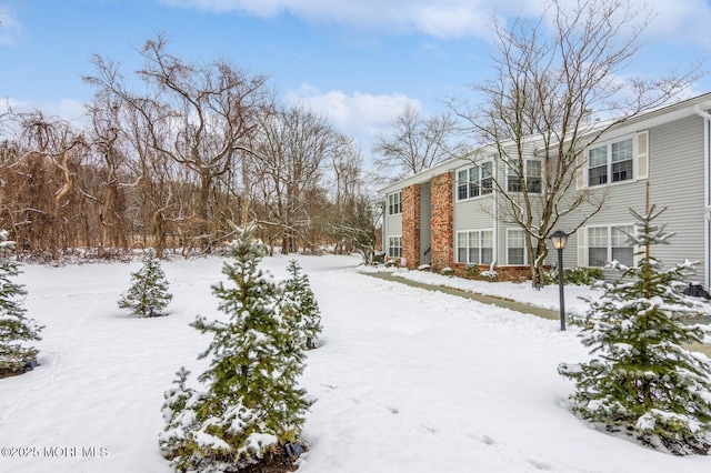 view of snowy yard