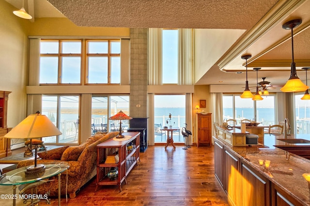 living area with a high ceiling, baseboard heating, and dark wood-style flooring