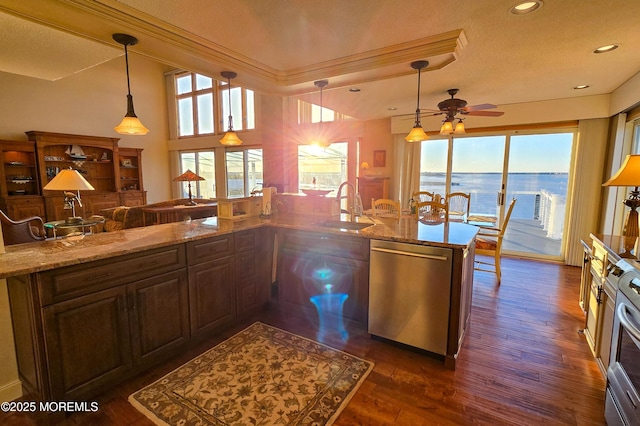 kitchen with a healthy amount of sunlight, appliances with stainless steel finishes, dark wood finished floors, and a sink