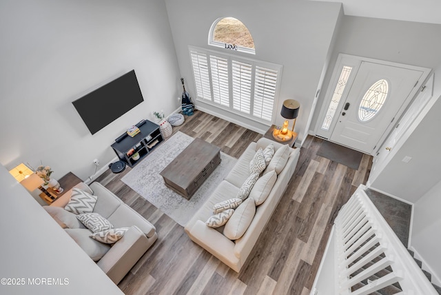 living room with a high ceiling and hardwood / wood-style flooring