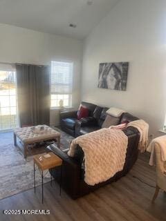 living area with lofted ceiling and wood finished floors