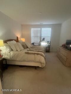 bedroom featuring light colored carpet