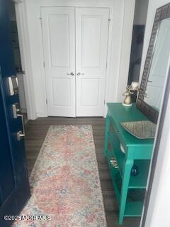 interior space featuring dark wood-type flooring