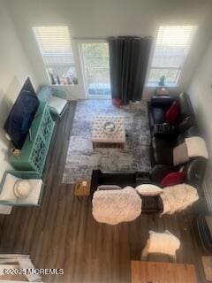 living room featuring a healthy amount of sunlight and wood finished floors