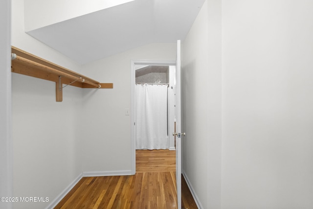 200 2nd Ave Unit 14, Belmar, NJ 07719 - walk in closet featuring wood finished floors and vaulted ceiling