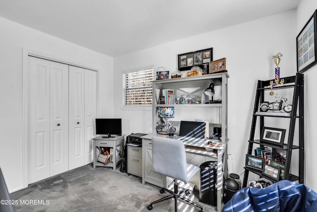 home office featuring carpet