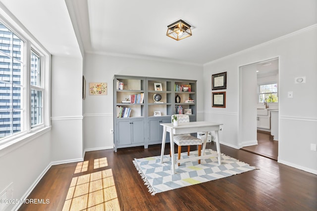 office area featuring ornamental molding and dark hardwood / wood-style flooring