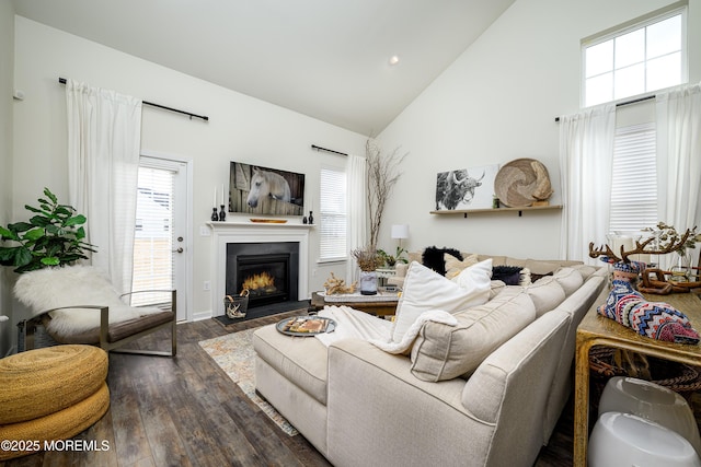 living area featuring dark wood-type flooring, a healthy amount of sunlight, high vaulted ceiling, and a fireplace with flush hearth