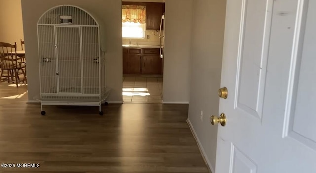 entryway featuring sink and dark hardwood / wood-style floors