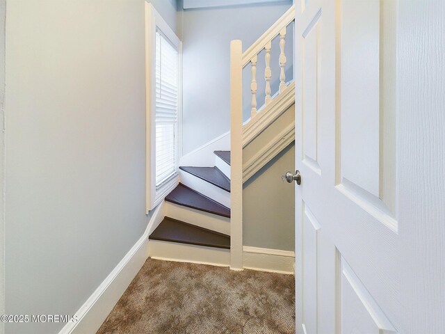 78 Lake Ave, Ocean Grove, NJ 07756 - stairs featuring carpet and baseboards