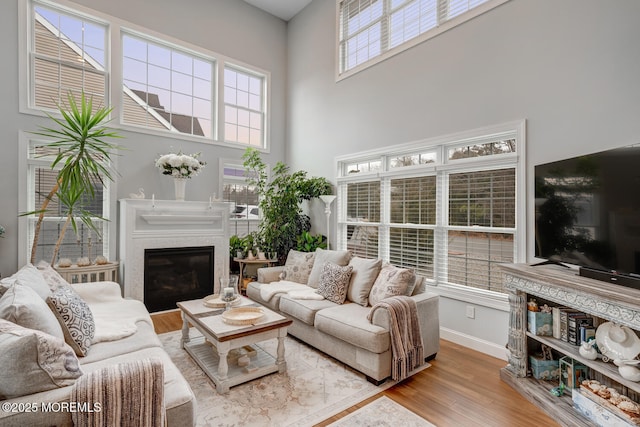 living room featuring a high ceiling and hardwood / wood-style floors