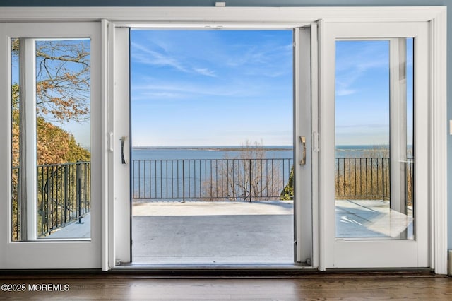 entryway with a water view, plenty of natural light, and wood finished floors