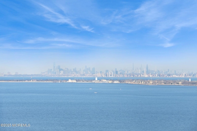 view of water feature with a city view