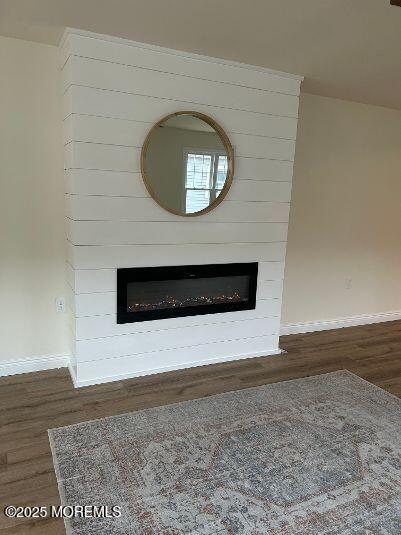 details featuring a fireplace and hardwood / wood-style flooring