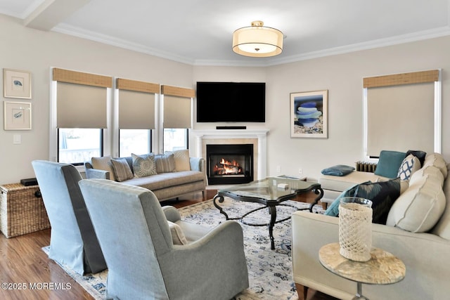 living area featuring ornamental molding, a fireplace, and wood finished floors