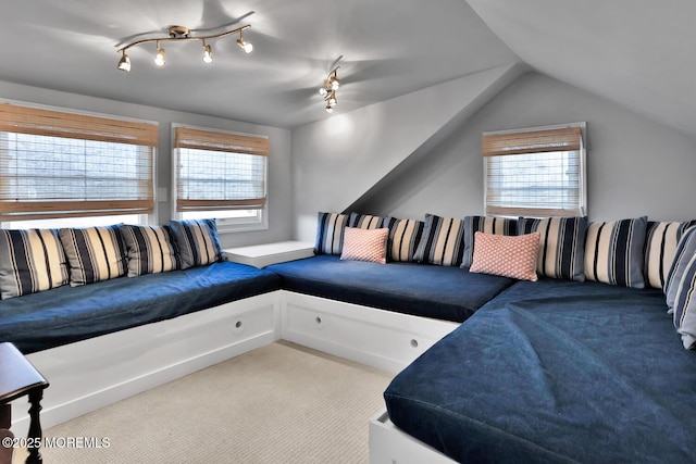 carpeted living room featuring lofted ceiling