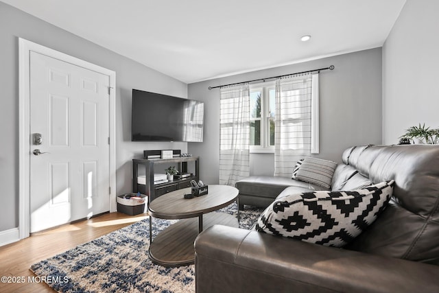 living room featuring wood finished floors