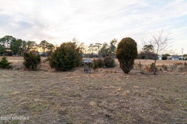 view of yard at dusk