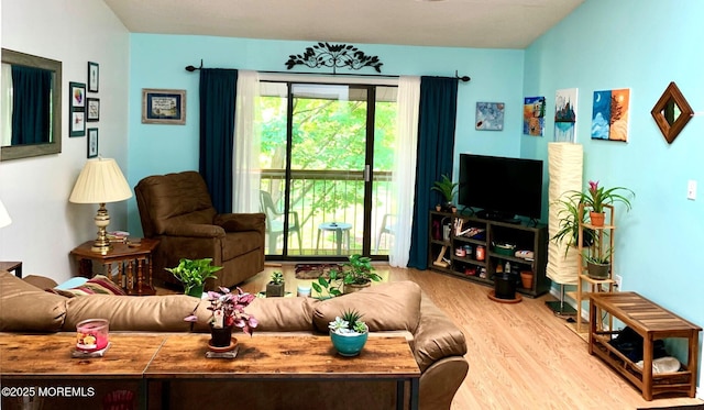 living room with light wood-type flooring