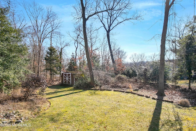 view of yard featuring a shed and an outbuilding