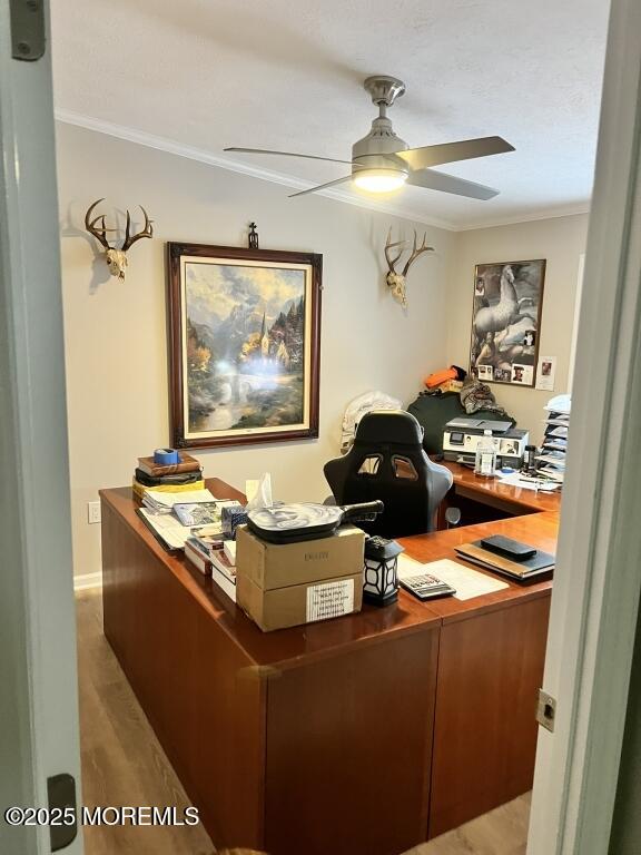 office area featuring light wood-style floors, ceiling fan, and crown molding